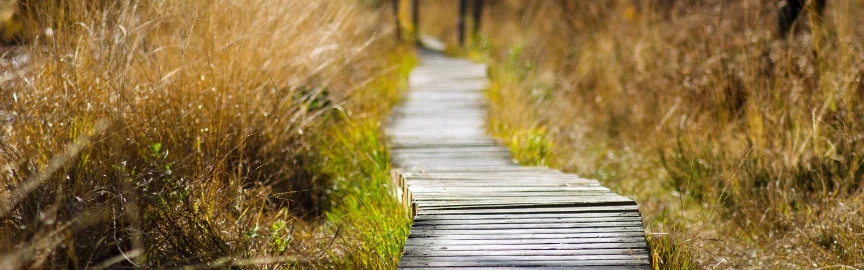 10 Best Hiking Trails in Honolulu